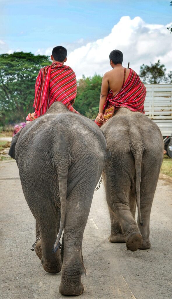 Elephants and Thai Language