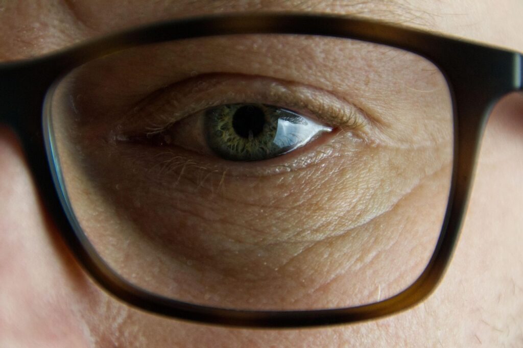 Crows can remember human faces for years.