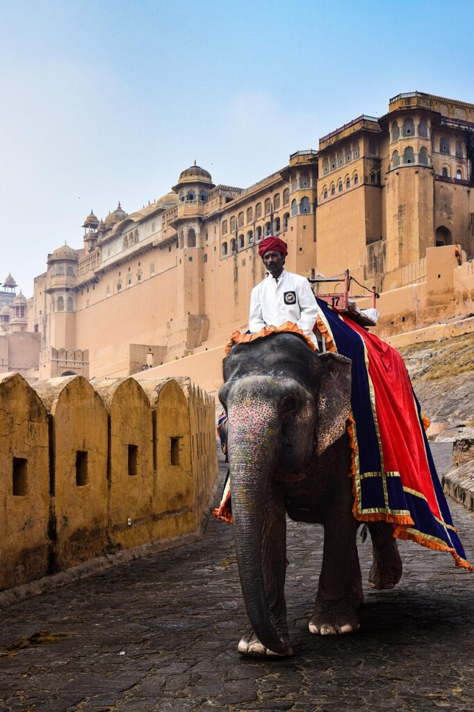 Cultural and Symbolic Significance of Elephant Ears